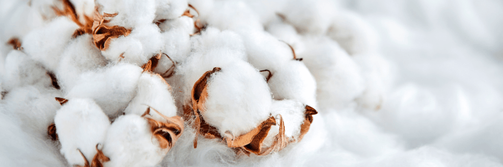 Le coton biologique et écologique - Textile Addict