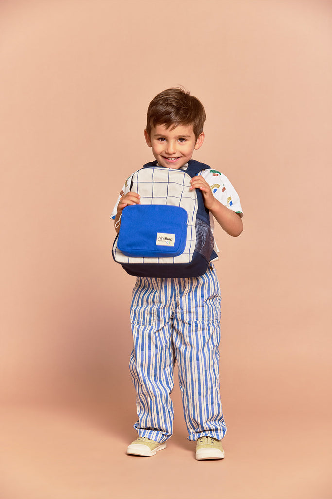 sac romy tricolore carreaux hindbag